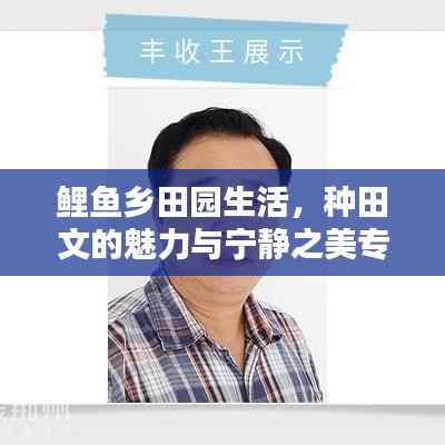 鲤鱼乡田园生活，种田文的魅力与宁静之美专题分享
