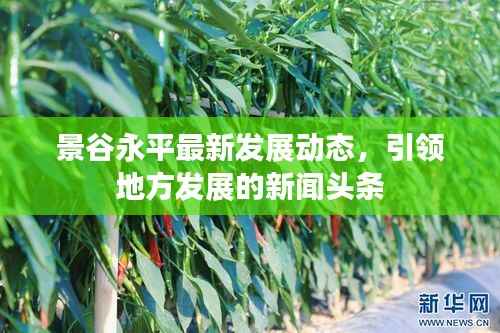 景谷永平最新发展动态，引领地方发展的新闻头条