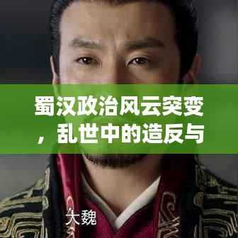 蜀汉政治风云突变，乱世中的造反与人心动荡