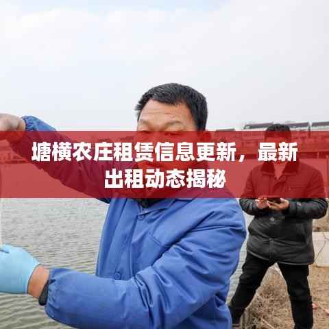 塘横农庄租赁信息更新，最新出租动态揭秘