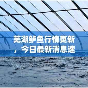 箪瓢陋巷 第5页