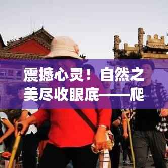 张袂成阴 第6页