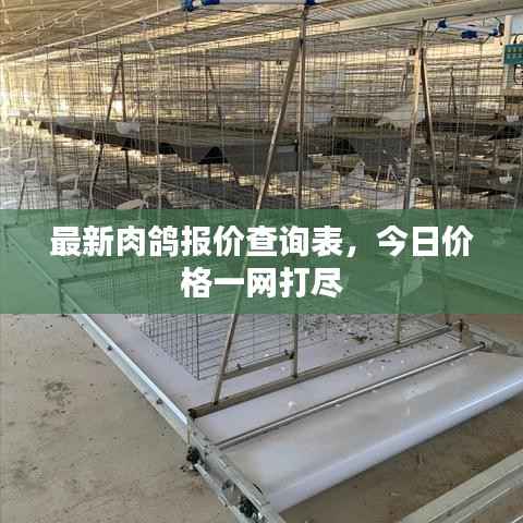 最新肉鸽报价查询表，今日价格一网打尽