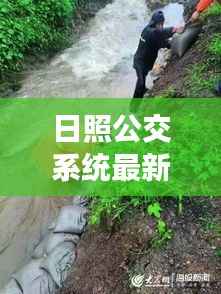 日照公交系统最新动态，新闻头条揭秘交通变革