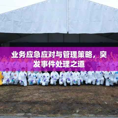 飞红滴翠 第4页