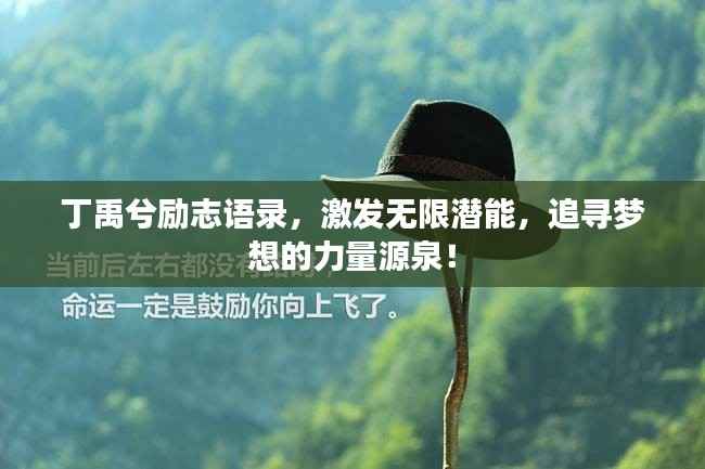 丁禹兮励志语录，激发无限潜能，追寻梦想的力量源泉！