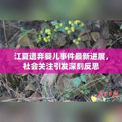 江夏遗弃婴儿事件最新进展,社会关注引发深刻反思