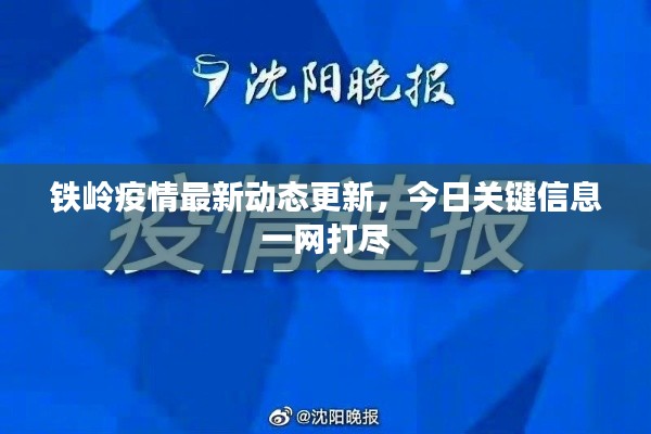 铁岭疫情最新动态更新,今日关键信息一网打尽
