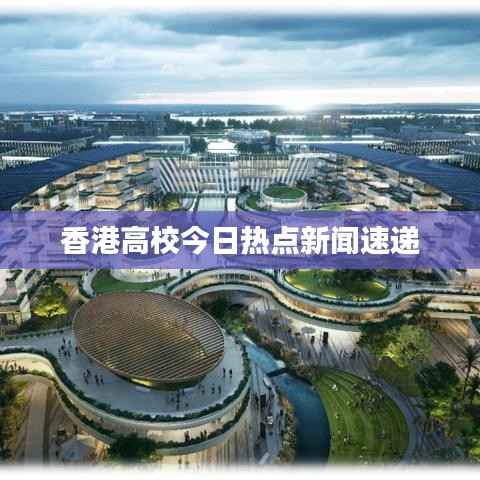 香港高校今日热点新闻速递