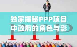 独家揭秘PPP项目中政府的角色与影响力