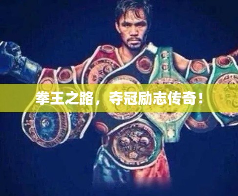 拳王之路,夺冠励志传奇!