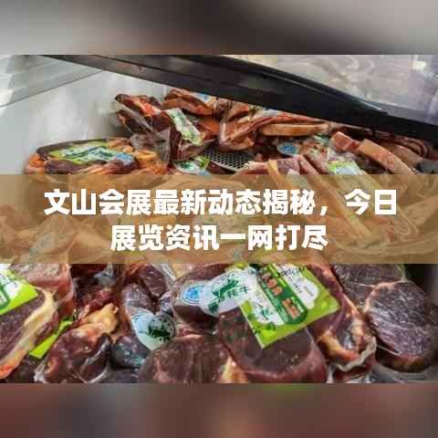 文山会展最新动态揭秘，今日展览资讯一网打尽
