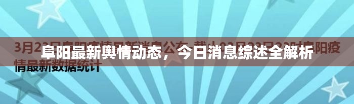 阜阳最新舆情动态，今日消息综述全解析