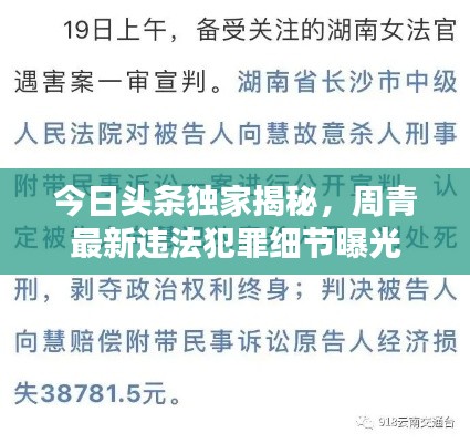 今日头条独家揭秘，周青最新违法犯罪细节曝光