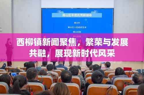 西柳镇新闻聚焦,繁荣与发展共融,展现新时代风采