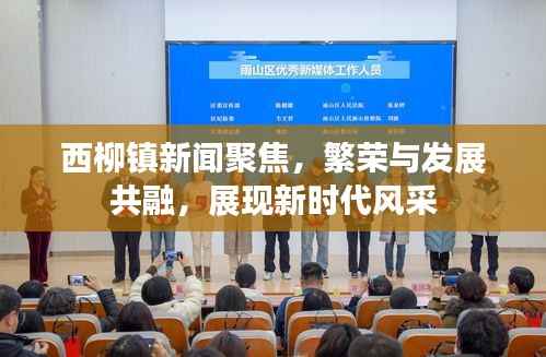 西柳镇新闻聚焦,繁荣与发展共融,展现新时代风采