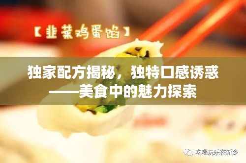 独家配方揭秘，独特口感诱惑——美食中的魅力探索