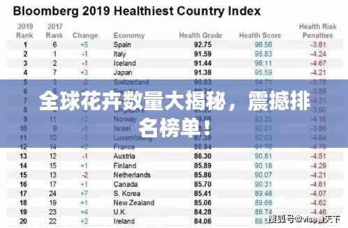 全球花卉数量大揭秘，震撼排名榜单！