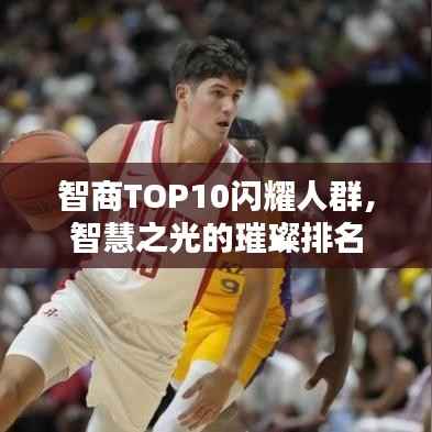 智商TOP10闪耀人群,智慧之光的璀璨排名