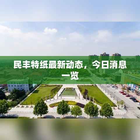 民丰特纸最新动态，今日消息一览