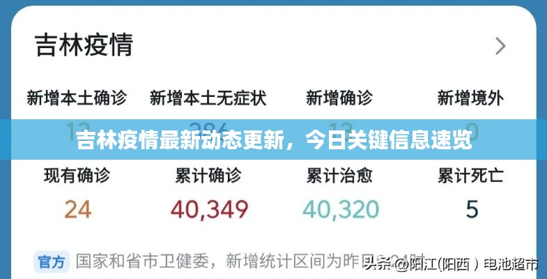 吉林疫情最新动态更新，今日关键信息速览