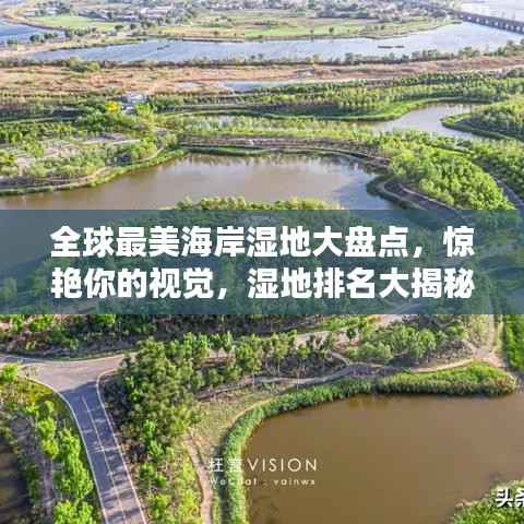 全球最美海岸湿地大盘点，惊艳你的视觉，湿地排名大揭秘！