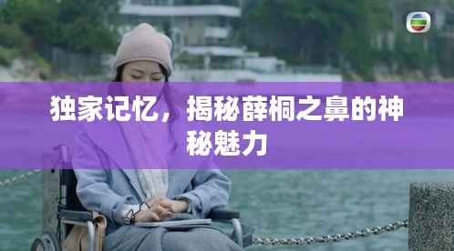 独家记忆,揭秘薛桐之鼻的神秘魅力