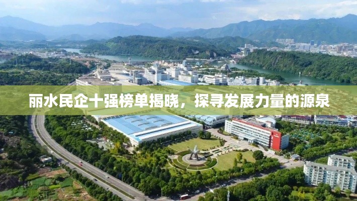 丽水民企十强榜单揭晓，探寻发展力量的源泉