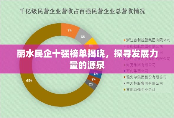 丽水民企十强榜单揭晓,探寻发展力量的源泉