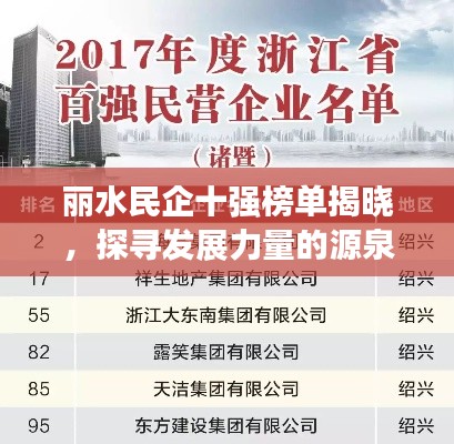 丽水民企十强榜单揭晓,探寻发展力量的源泉