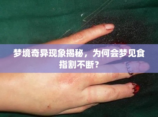 虚张声势 第4页