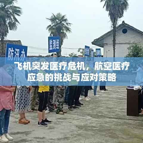 飞机突发医疗危机，航空医疗应急的挑战与应对策略