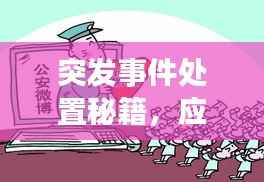 突发事件处置秘籍，应对策略与实用方法一网打尽！