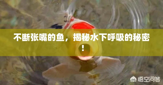 精益求精 第4页