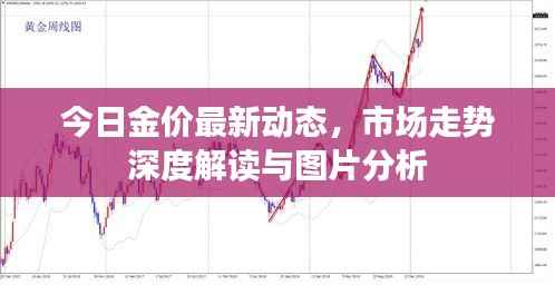 今日金价最新动态，市场走势深度解读与图片分析