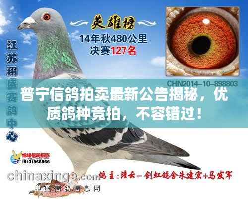 娇小玲珑 第5页