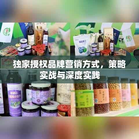 独家授权品牌营销方式，策略实战与深度实践
