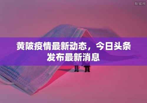 黄陂疫情最新动态，今日头条发布最新消息
