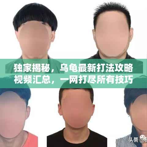 独家揭秘，乌龟最新打法攻略视频汇总，一网打尽所有技巧！