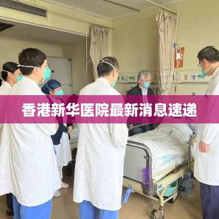 香港新华医院最新消息速递