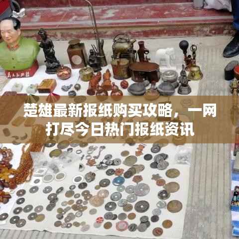 楚雄最新报纸购买攻略，一网打尽今日热门报纸资讯