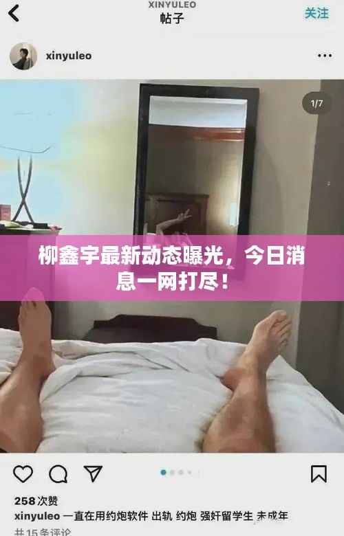 柳鑫宇最新动态曝光，今日消息一网打尽！