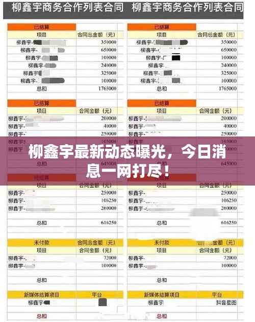 柳鑫宇最新动态曝光,今日消息一网打尽!