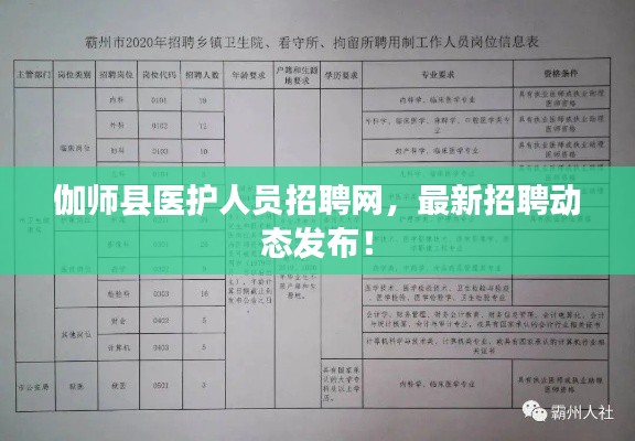 伽师县医护人员招聘网，最新招聘动态发布！