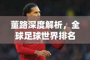 董路深度解析，全球足球世界排名揭秘