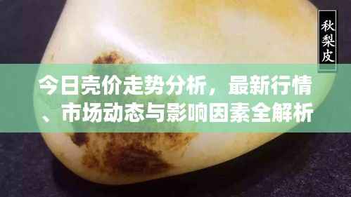 今日壳价走势分析，最新行情、市场动态与影响因素全解析