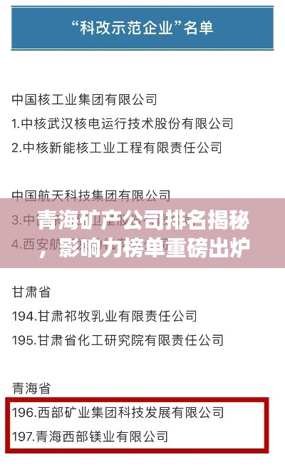 青海矿产公司排名揭秘，影响力榜单重磅出炉！