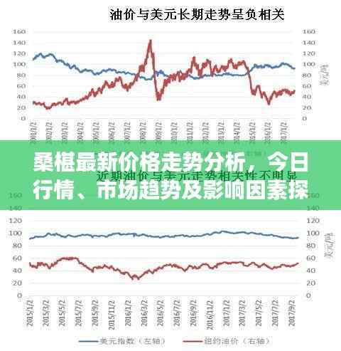 桑椹最新价格走势分析，今日行情、市场趋势及影响因素探讨