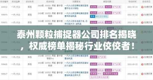 泰州颗粒捕捉器公司排名揭晓，权威榜单揭秘行业佼佼者！