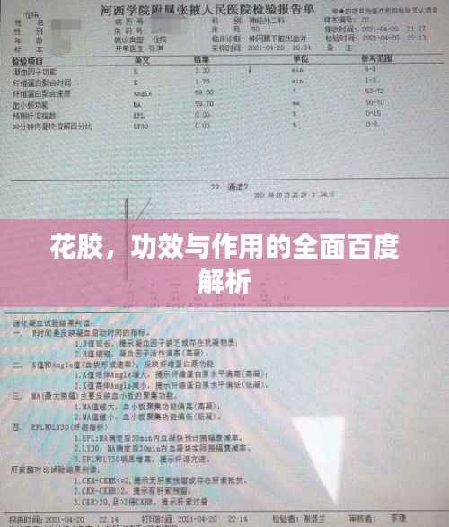 花胶，功效与作用的全面百度解析